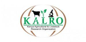 kalro-food-crops-research-institute-809